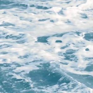 Meet your Posher, Dakota